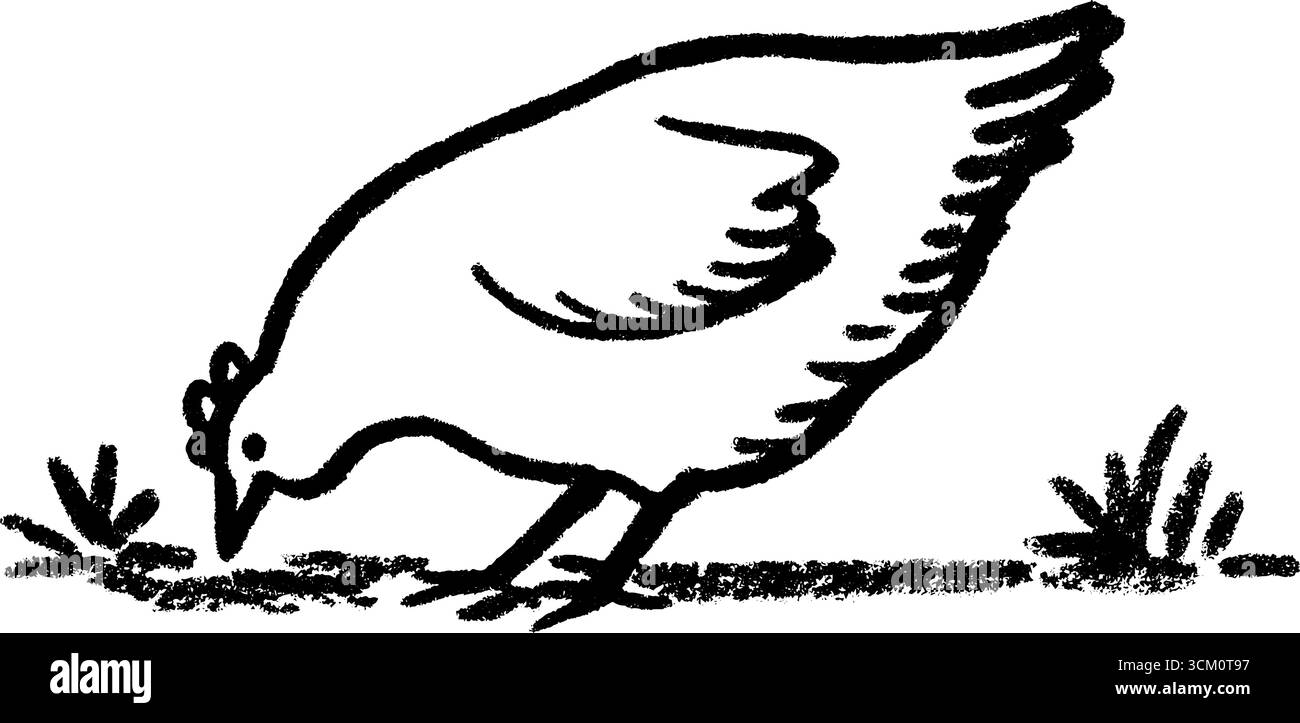 Schizzo di una gallina che picchia a terra con linee nere audaci per un design rustico. Illustrazione Vettoriale