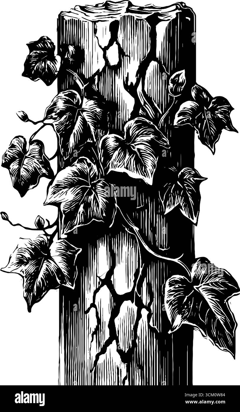 Colonna ionica in stile vintage con tema edera per un design retrò. Illustrazione Vettoriale