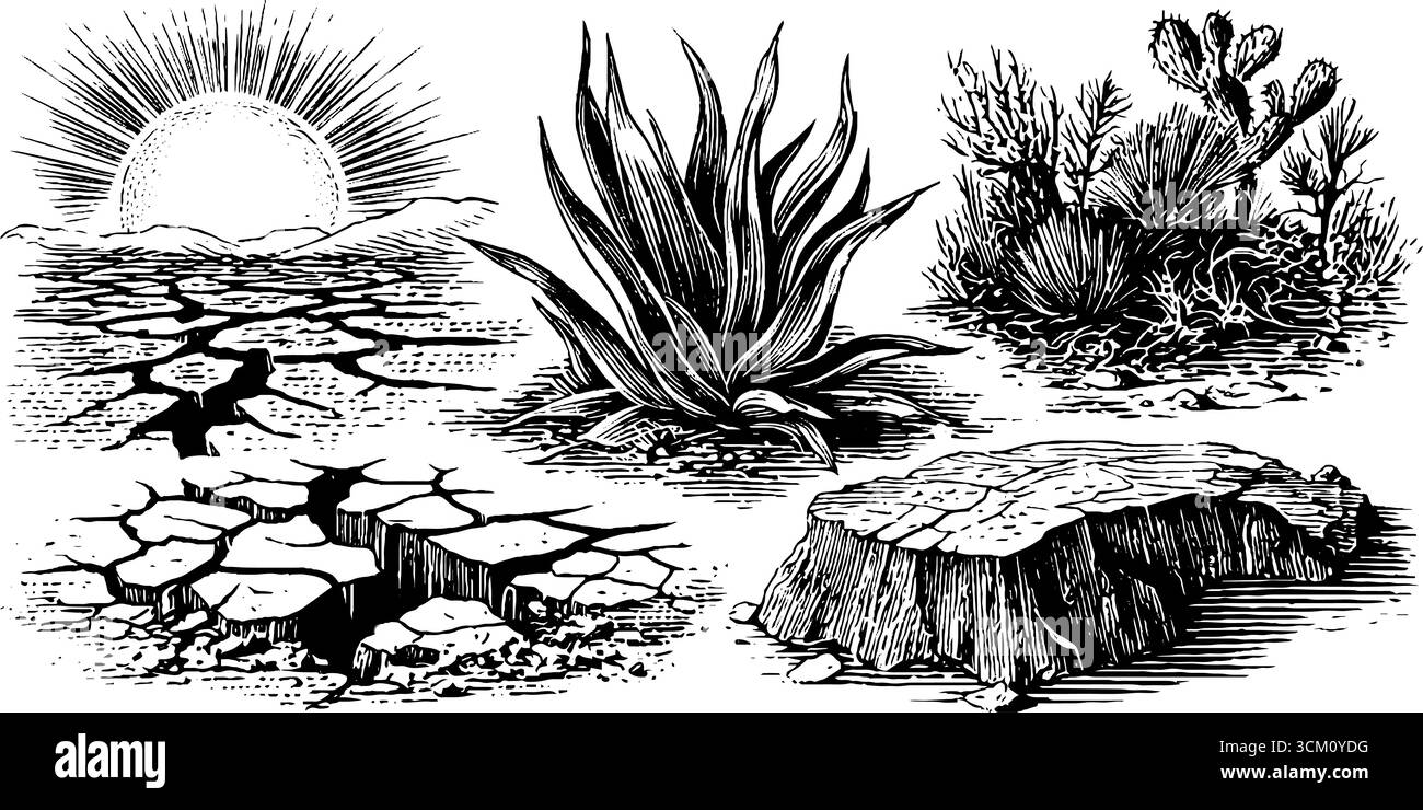 Crepe di siccità e terra bruciata con scoppio di sole e piante desertiche per il design della natura. Illustrazione Vettoriale