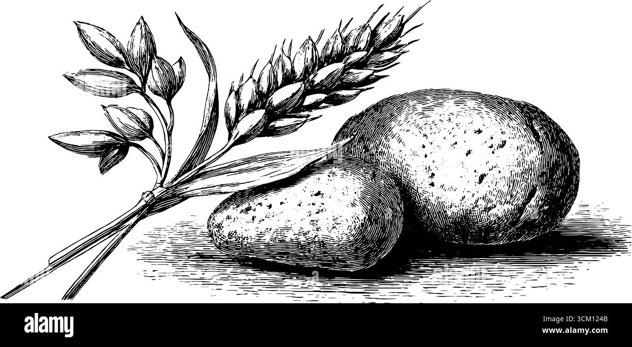 Bozza vintage in macina e grano per un design e un artigianato retrò. Illustrazione Vettoriale