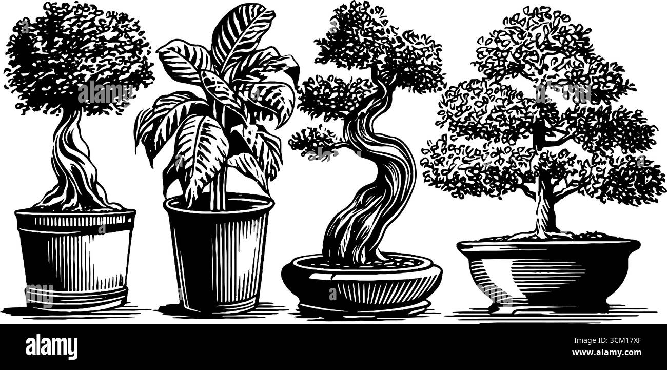 Bozzetto vintage di alberi bonsai con tronchi intrecciati e disegni in miniatura per l'arredamento o l'arte. Illustrazione Vettoriale