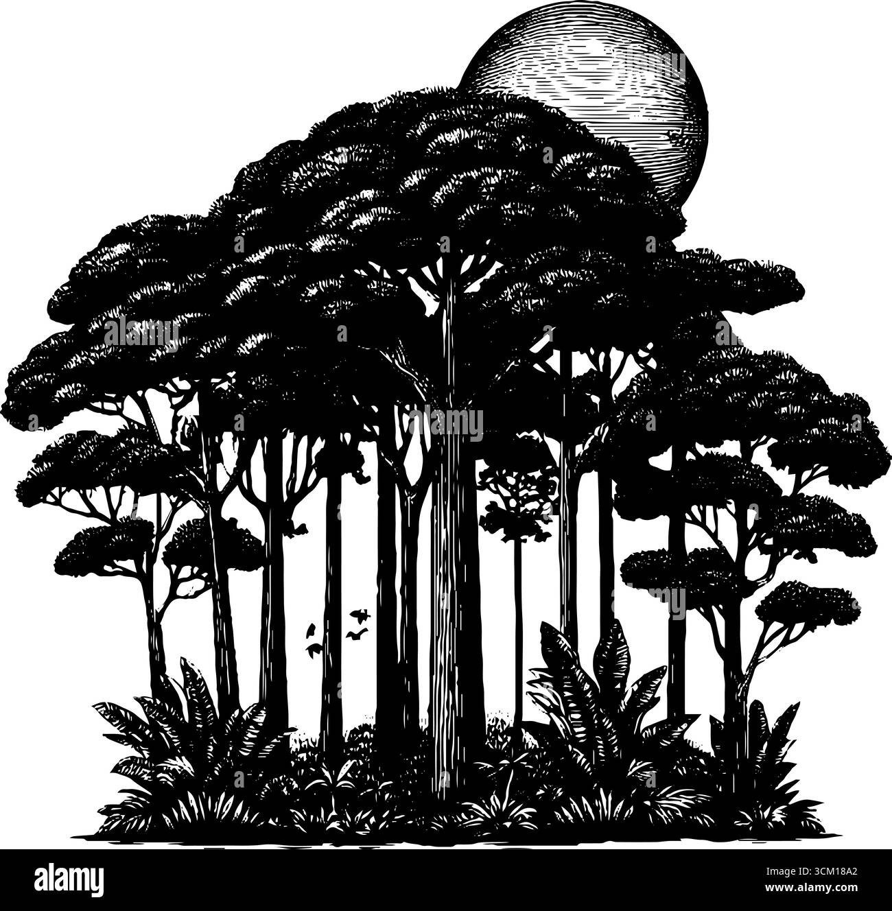 Silhouette densa nella giungla con alberi alti e sole al tramonto - grafica in stile inciso per un design naturale. Illustrazione Vettoriale