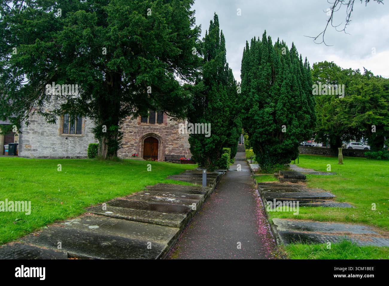 Percorso che conduce alla chiesa parrocchiale di St Asaph, Galles, fiancheggiato da antiche lapidi, prati lussureggianti e alberi torreggianti sotto un cielo nuvoloso. Foto Stock