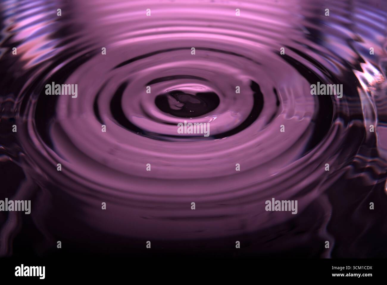 303.primo piano della superficie liquida che mostra increspature concentriche dall'impatto centrale. L'illuminazione viola-rosa aggiunge profondità e movimento surreali. Texture astratta alta Foto Stock