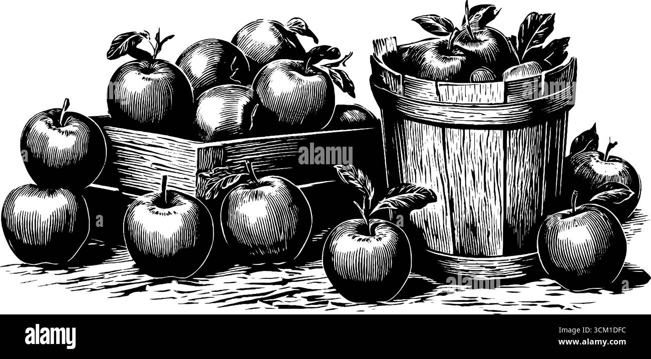 Raccolta rustica di mele in casse e cesti di legno per un design vintage. Illustrazione Vettoriale