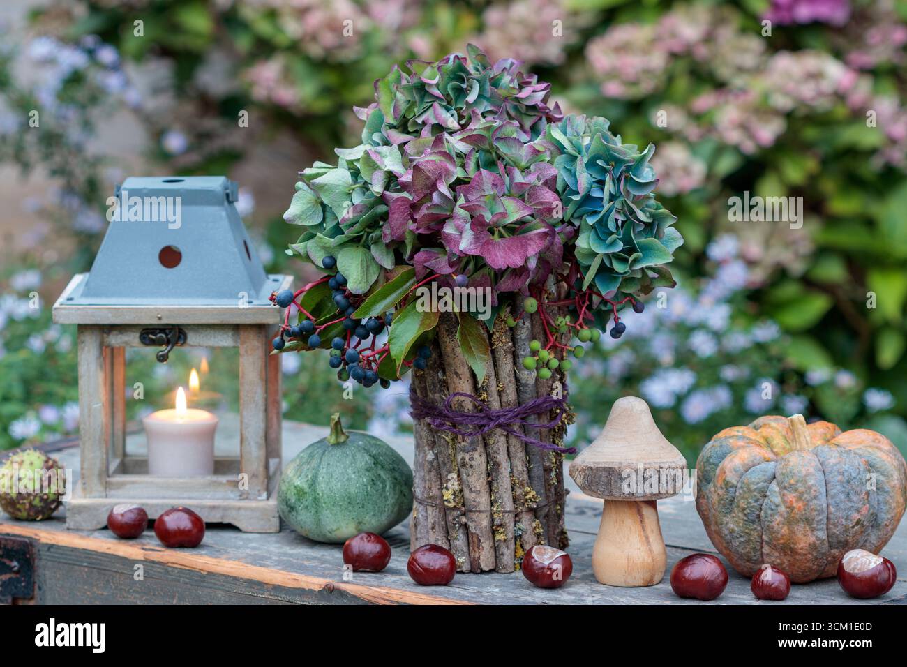disposizione giardino con bouquet di ortensie in fiore, zucche, castagne e lanterna Foto Stock