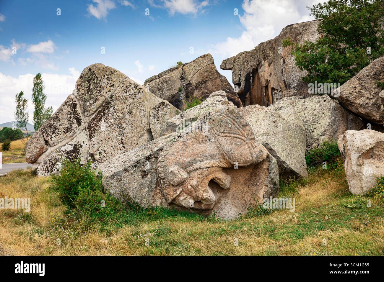 Aslantas (pietra del Leone) monumento nella valle frigia. Turchia Foto Stock