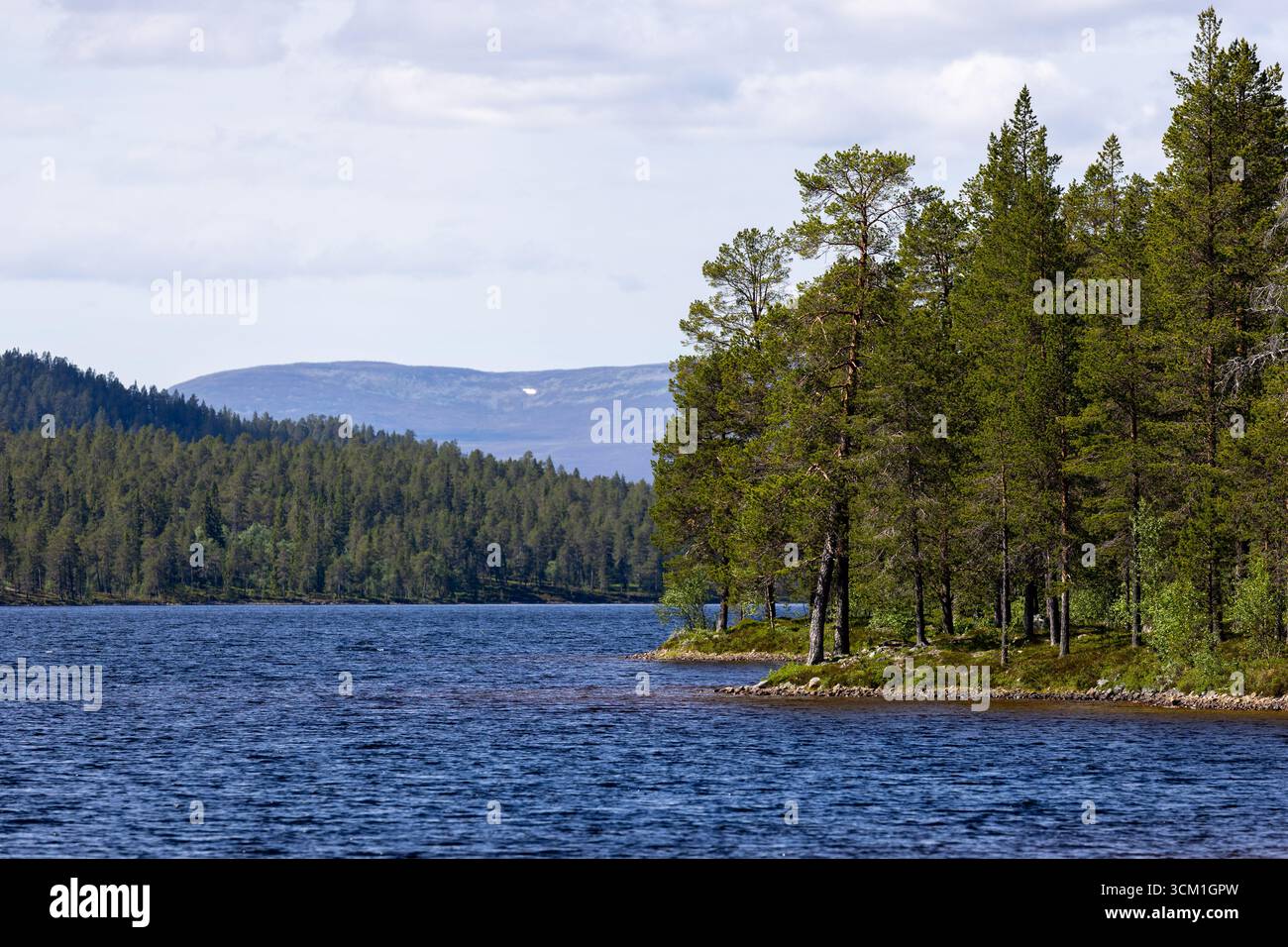 Natura selvaggia nordica con lago di montagna e pini Foto Stock