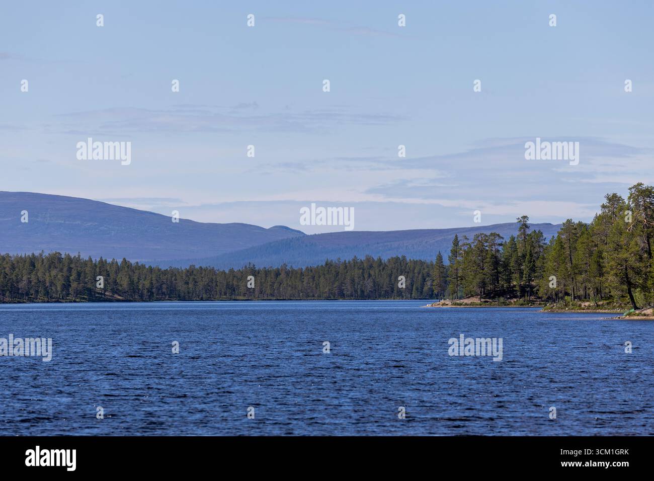 Natura selvaggia nordica con lago di montagna e pini Foto Stock