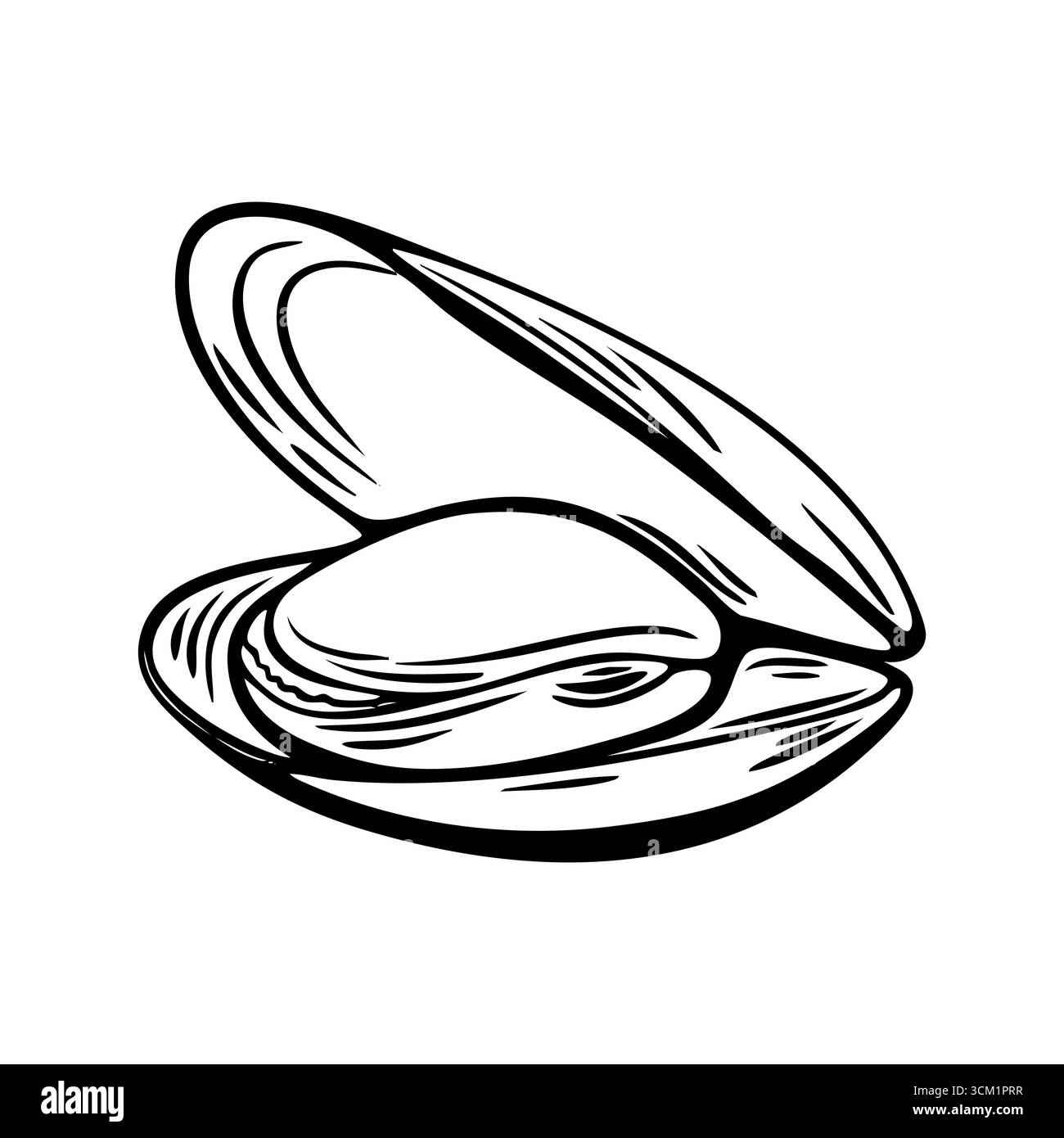 Schizzo vettoriale di una cozza aperta in stile incisione in bianco e nero. Ideale per etichette, imballaggi o colorazioni di prodotti ittici. Illustrazione Vettoriale