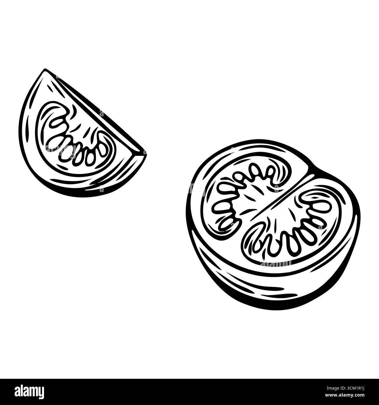 Schizzo di pomodoro bianco e nero con fetta e metà in stile incisione. Perfetto per il branding, l'imballaggio o la colorazione di pagine. Illustrazione Vettoriale