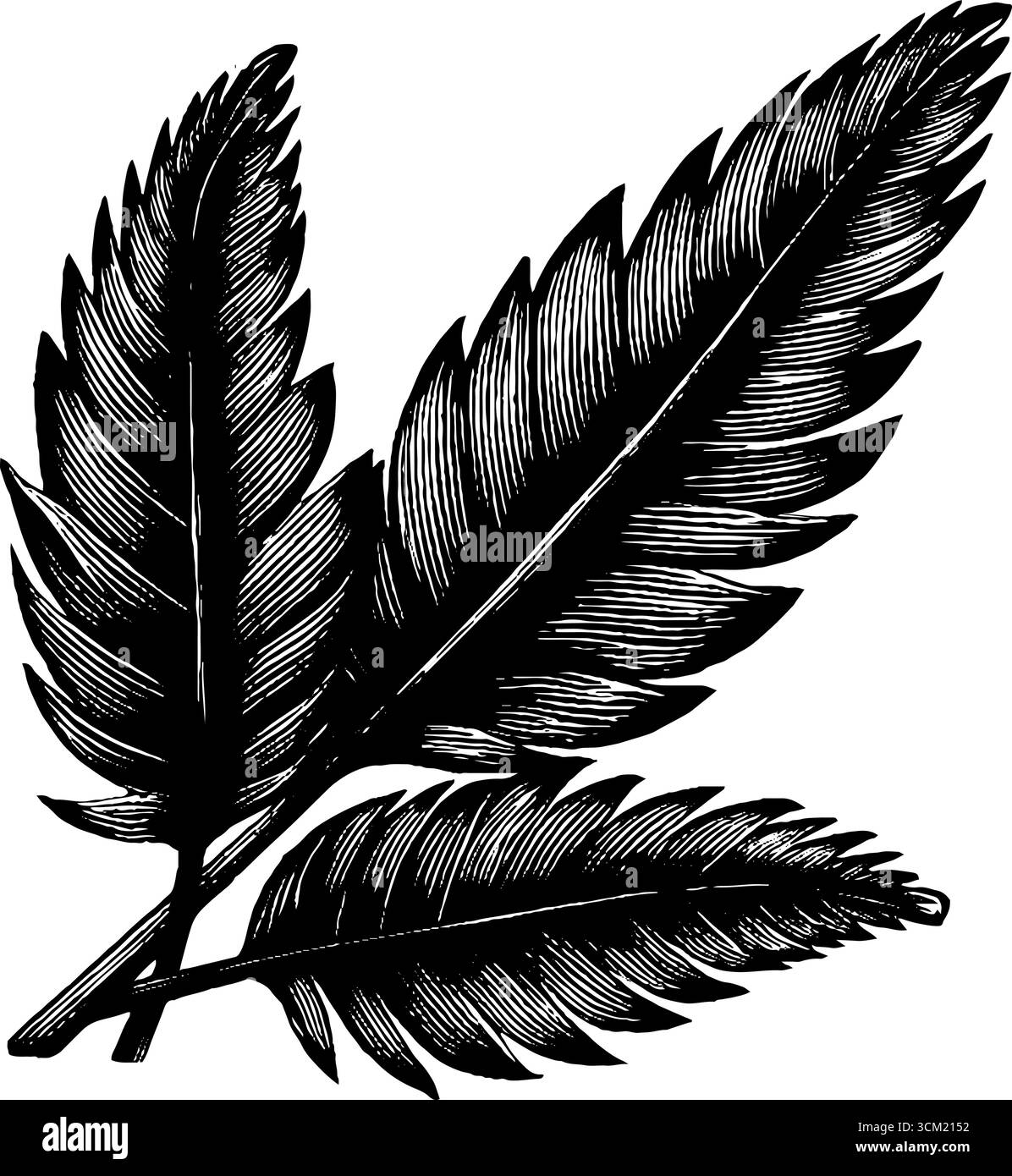 Elegante motivo senza cuciture di foglie di palmo incise per un design e una decorazione retrò. Illustrazione Vettoriale