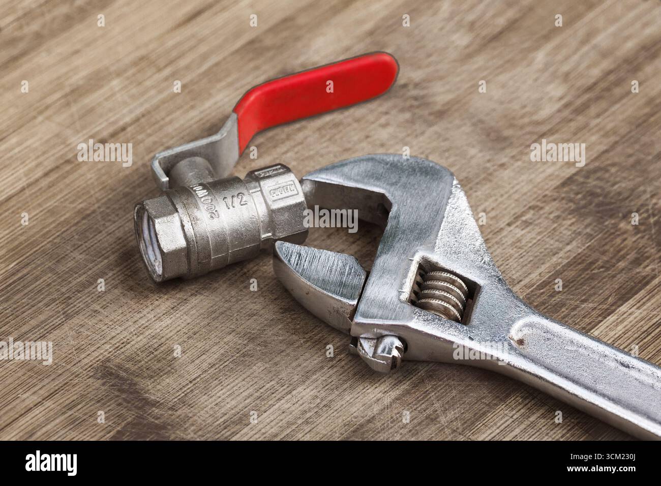 Chiave regolabile e rubinetto dell'acqua da 1/2" su un asse di legno Foto Stock