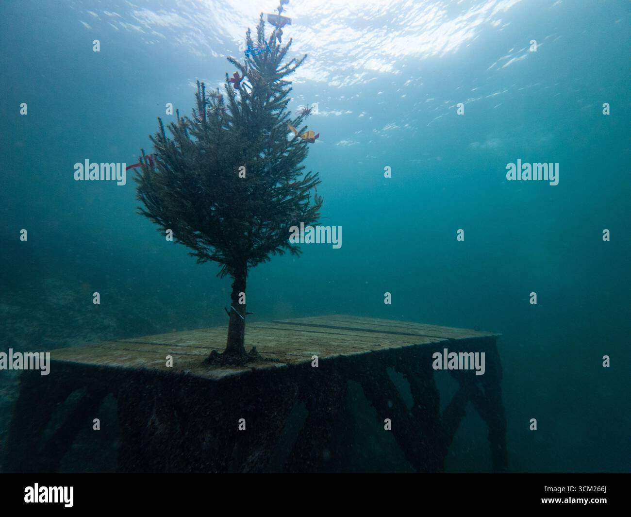 Impostazione predefinita Foto Stock