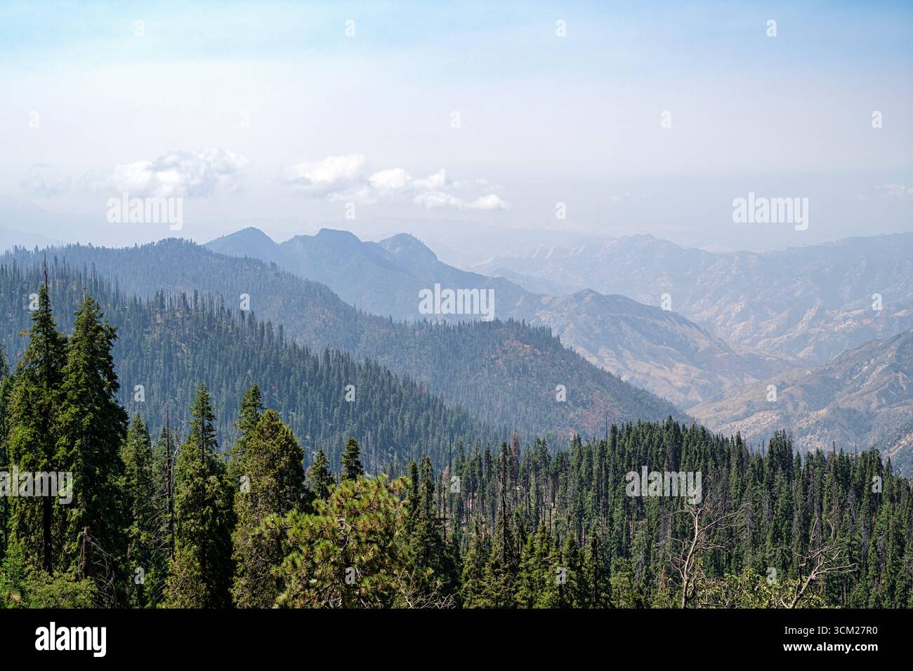 Vista delle vette della catena montuosa della Sierra Nevada, California, Stati Uniti. I picchi distand sono nebbiosi alla luce del sole, con copertura di pino Foto Stock