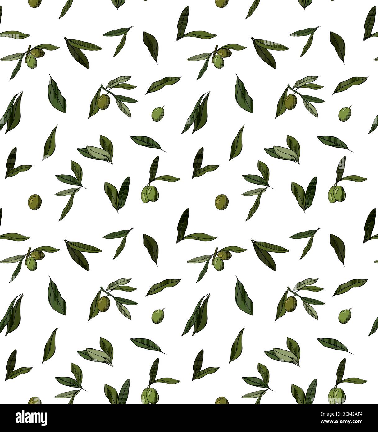 Rami di ulivo motivo senza cuciture. Illustrazione colorata con inchiostro a linee grafiche vettoriali. Symbol of Peace Resistance Resilience Strength Design for Package, Illustrazione Vettoriale