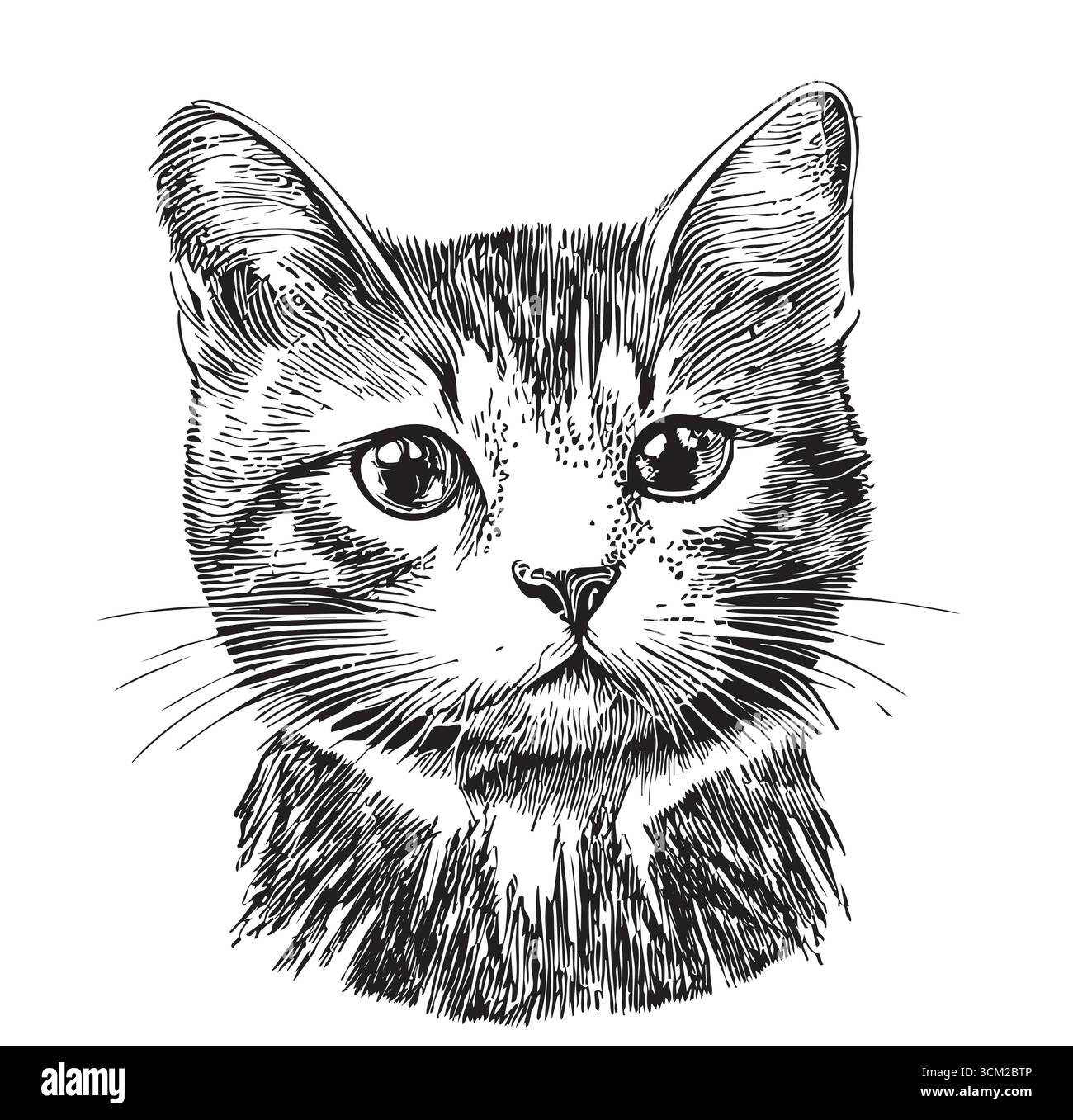disegno in bianco e nero con grafica vettoriale della testa macchiata cat Illustrazione Vettoriale
