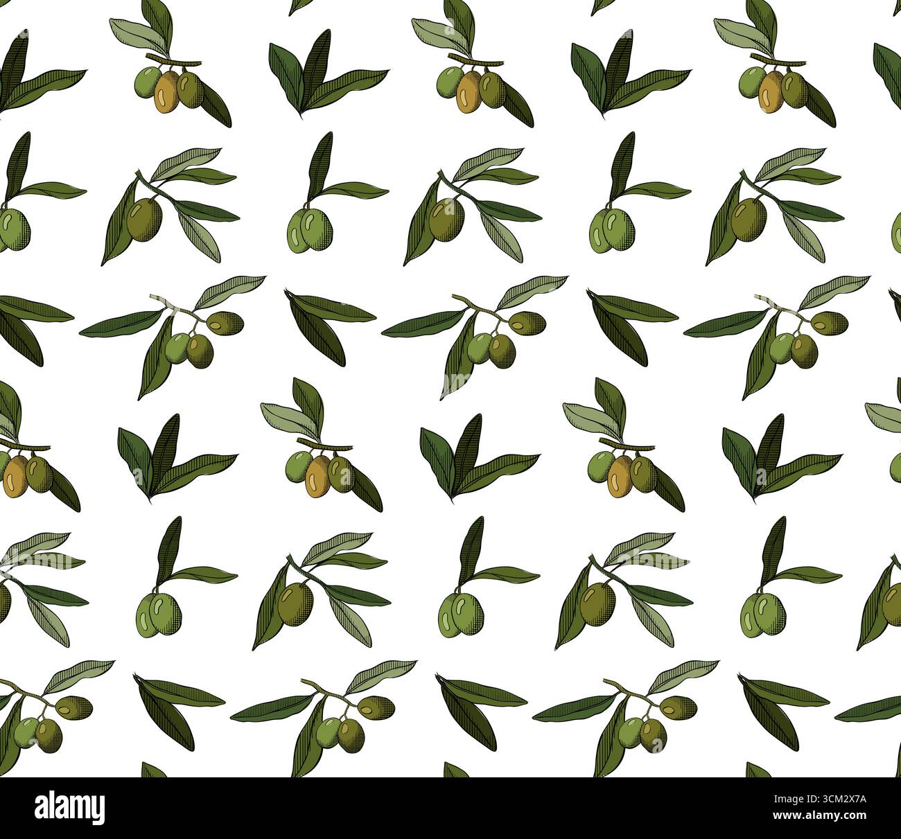 Motivo senza cuciture con ramificazione delle olive. Berry e lascia il ramo. Illustrazione colorata con inchiostro a linee grafiche vettoriali. per cosmetici biologici naturali, sapone, oi Illustrazione Vettoriale