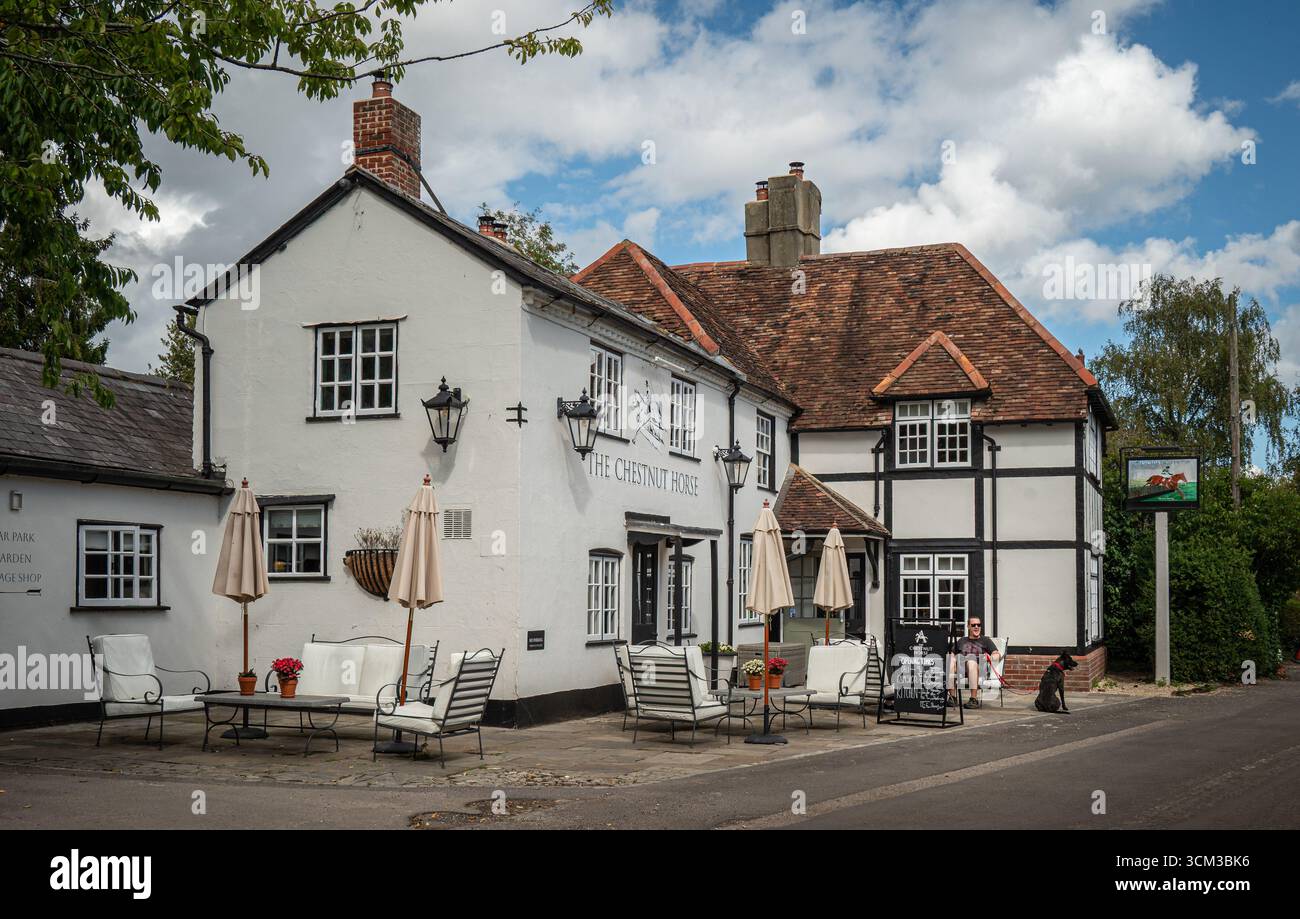 The Chestnut Horse, un'accogliente casa pubblica nel villaggio di Easton nell'Hampshire. Foto Stock