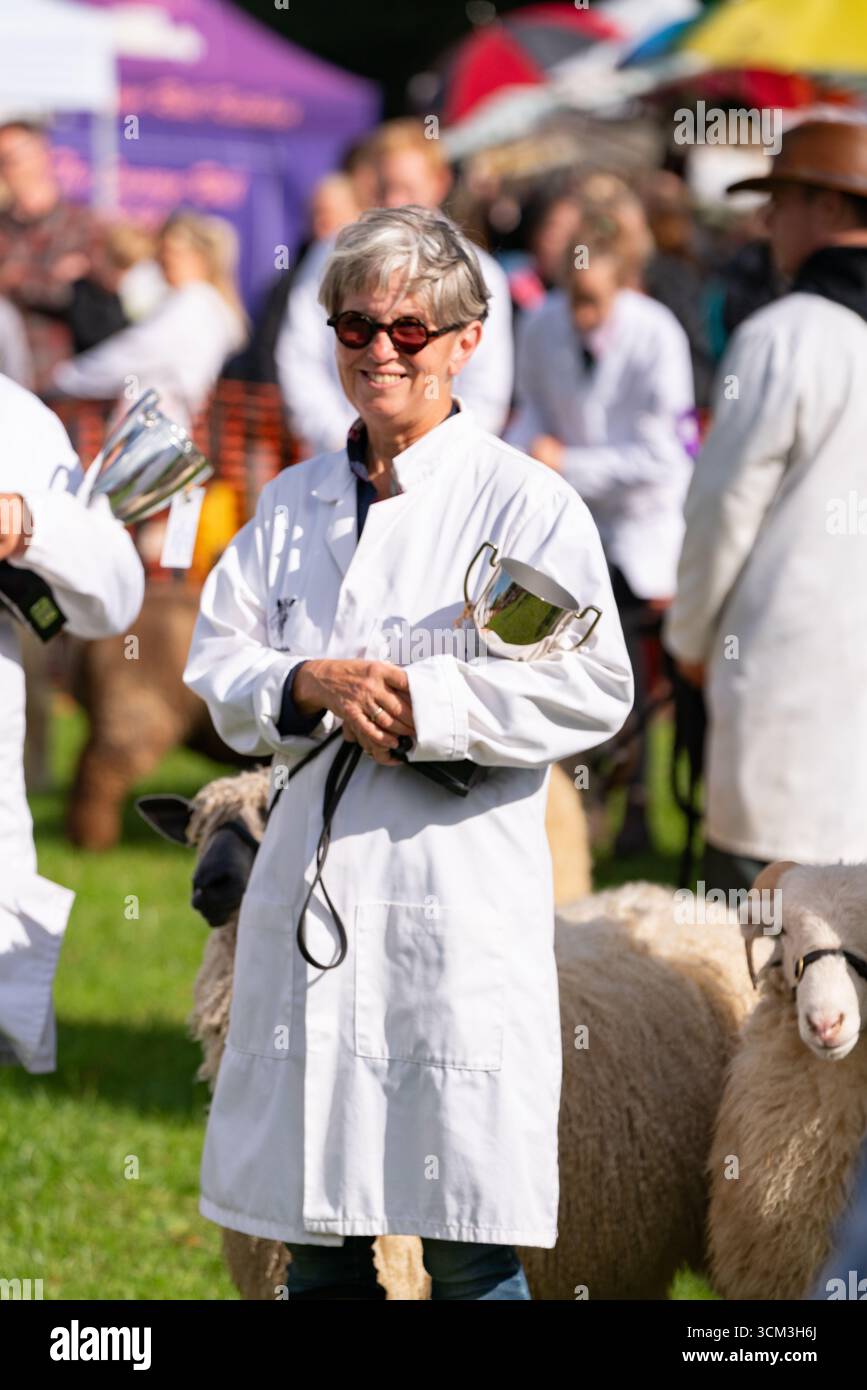 Fiera delle pecore nella campagna inglese. Tradizionale evento annuale del 1261 a Findon, West Sussex, Inghilterra. Foto Stock