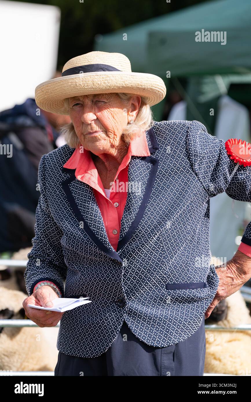 Fiera delle pecore nella campagna inglese. Tradizionale evento annuale del 1261 a Findon, West Sussex, Inghilterra. Foto Stock