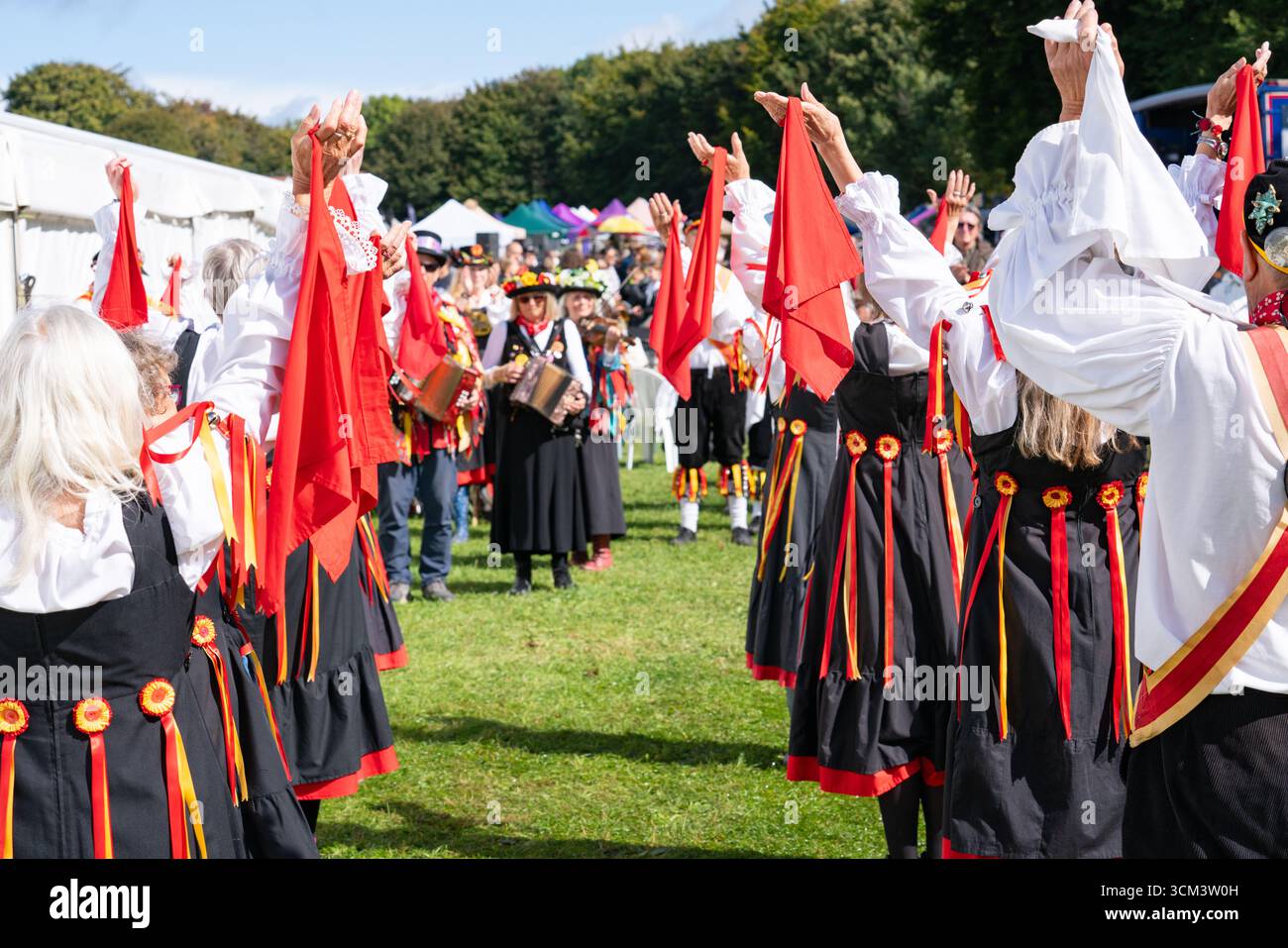 Fiera delle pecore nella campagna inglese. Tradizionale evento annuale del 1261 a Findon, West Sussex, Inghilterra. Foto Stock