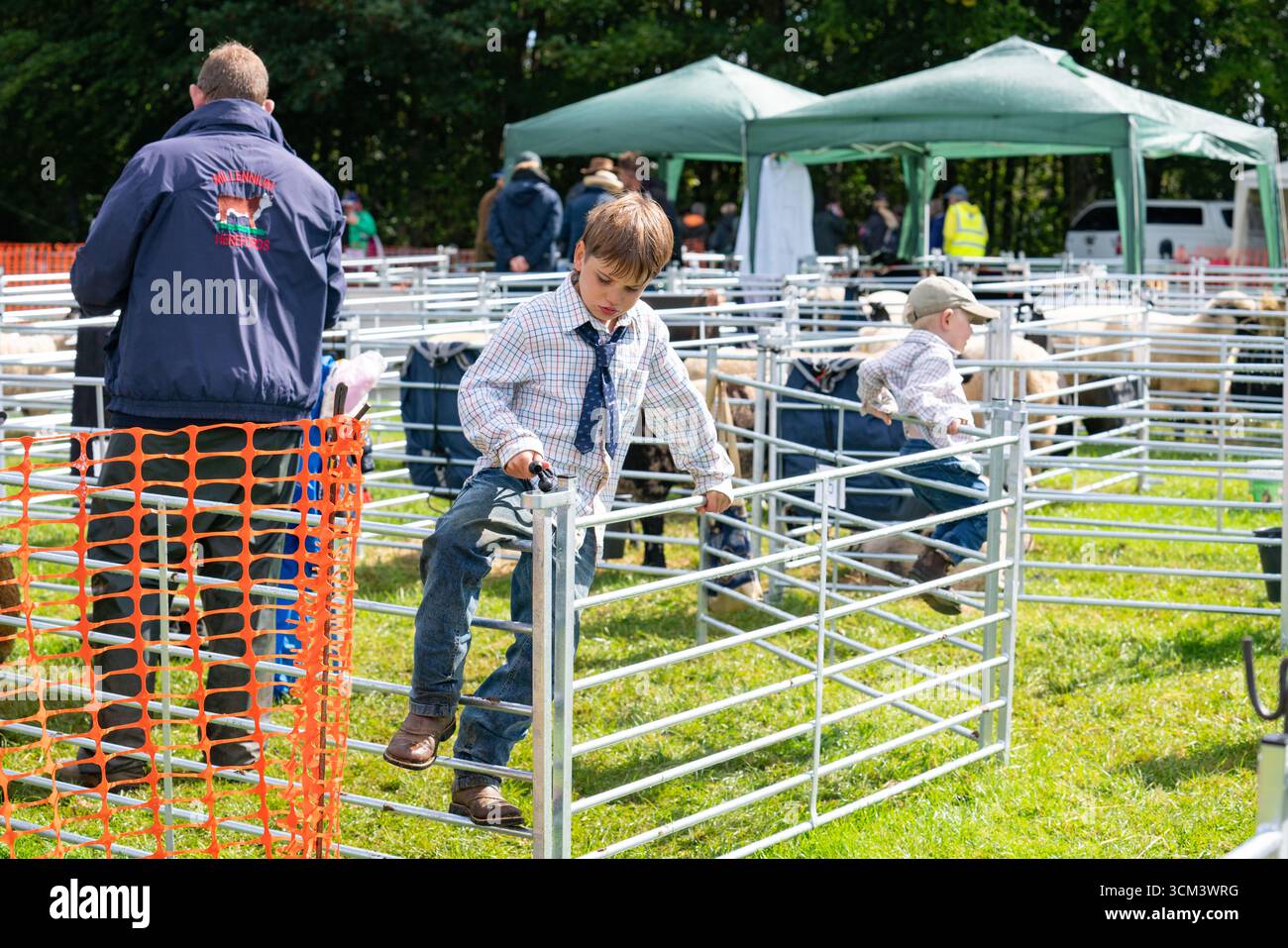 Fiera delle pecore nella campagna inglese. Tradizionale evento annuale del 1261 a Findon, West Sussex, Inghilterra. Foto Stock