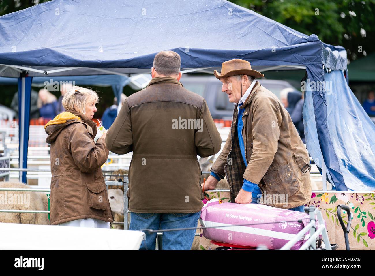 Fiera delle pecore nella campagna inglese. Tradizionale evento annuale del 1261 a Findon, West Sussex, Inghilterra. Foto Stock