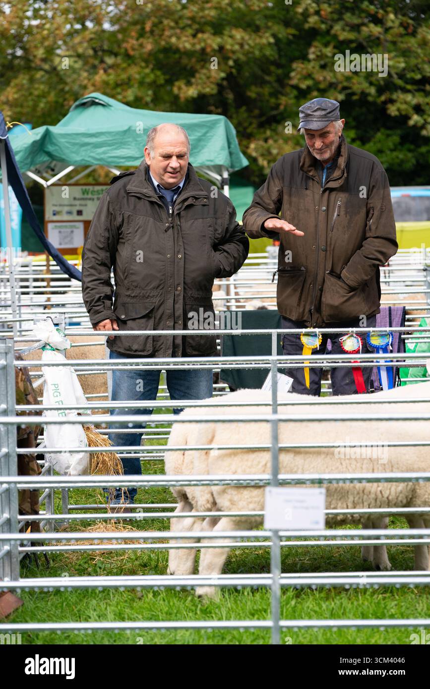 Fiera delle pecore nella campagna inglese. Tradizionale evento annuale del 1261 a Findon, West Sussex, Inghilterra. Foto Stock