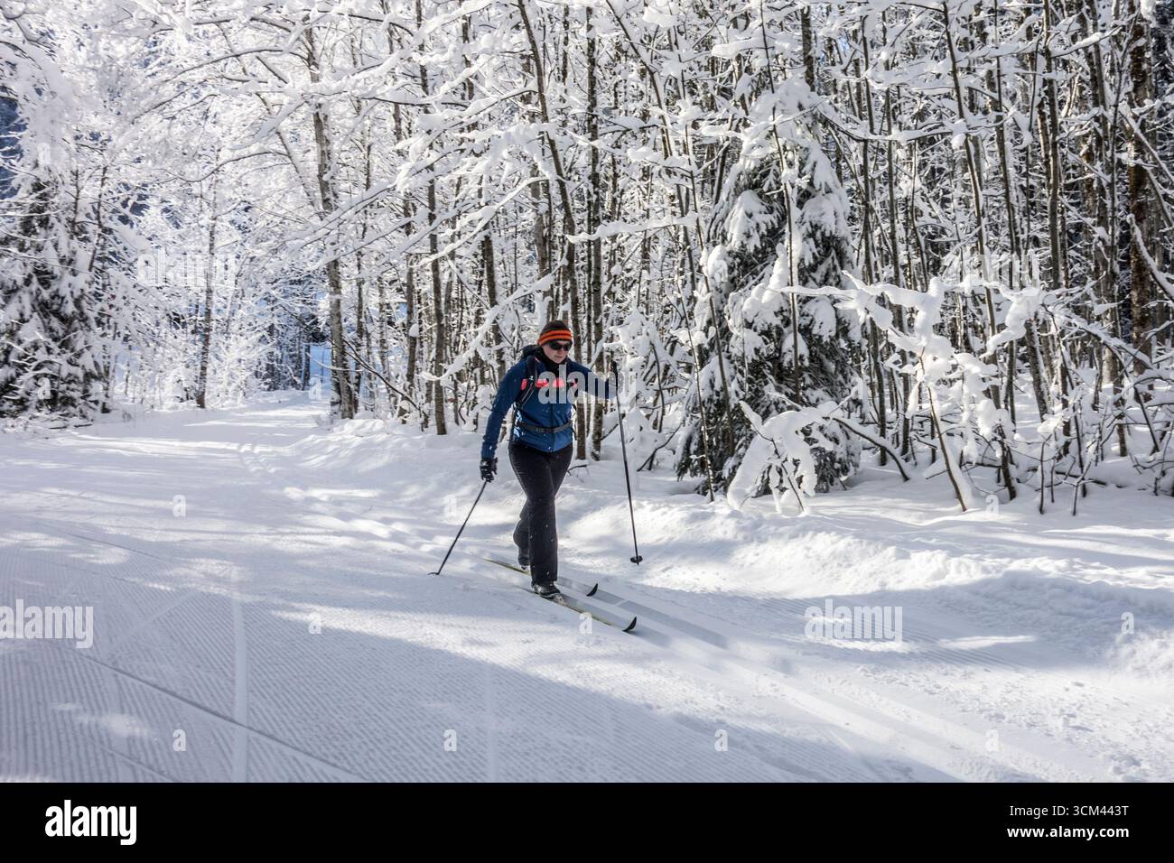 Sci di fondo a Ruhpolding, Alpi del Chiemgau, Baviera, Germania Foto Stock