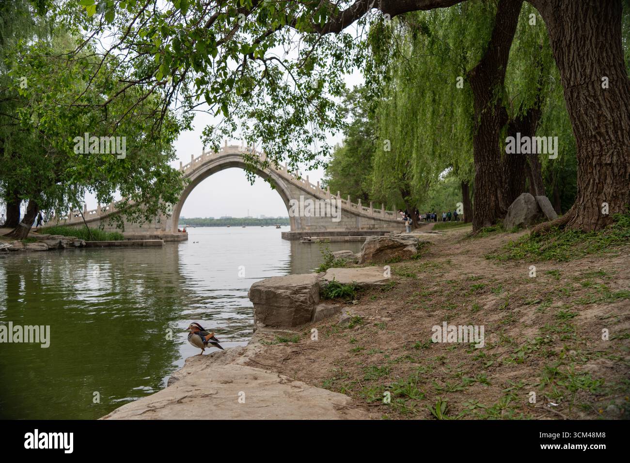 Ponte a diciassette archi presso il Palazzo d'Estate di Pechino, Cina, con un'anatra mandarina sulla riva in primo piano. Foto Stock