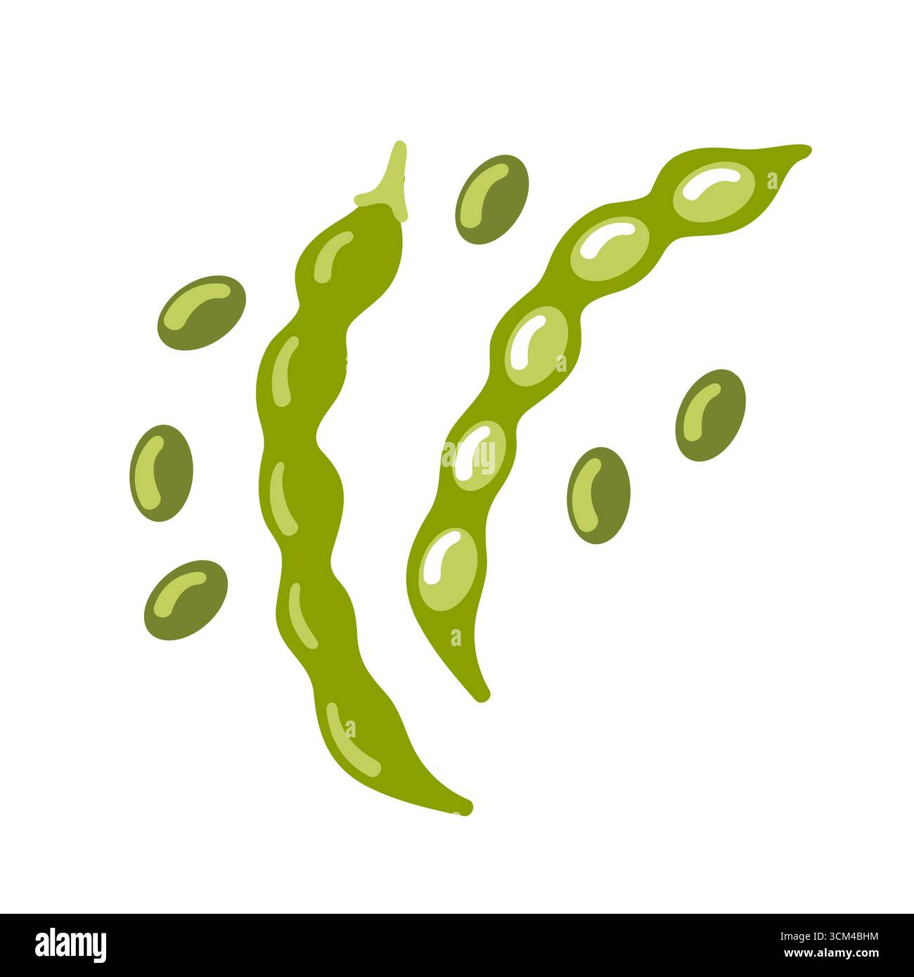 Illustrazione vettoriale in fagioli verdi cialde lucide e nitide con sfumature sottili, bordi luminosi e puliti per un look fresco e moderno Illustrazione Vettoriale