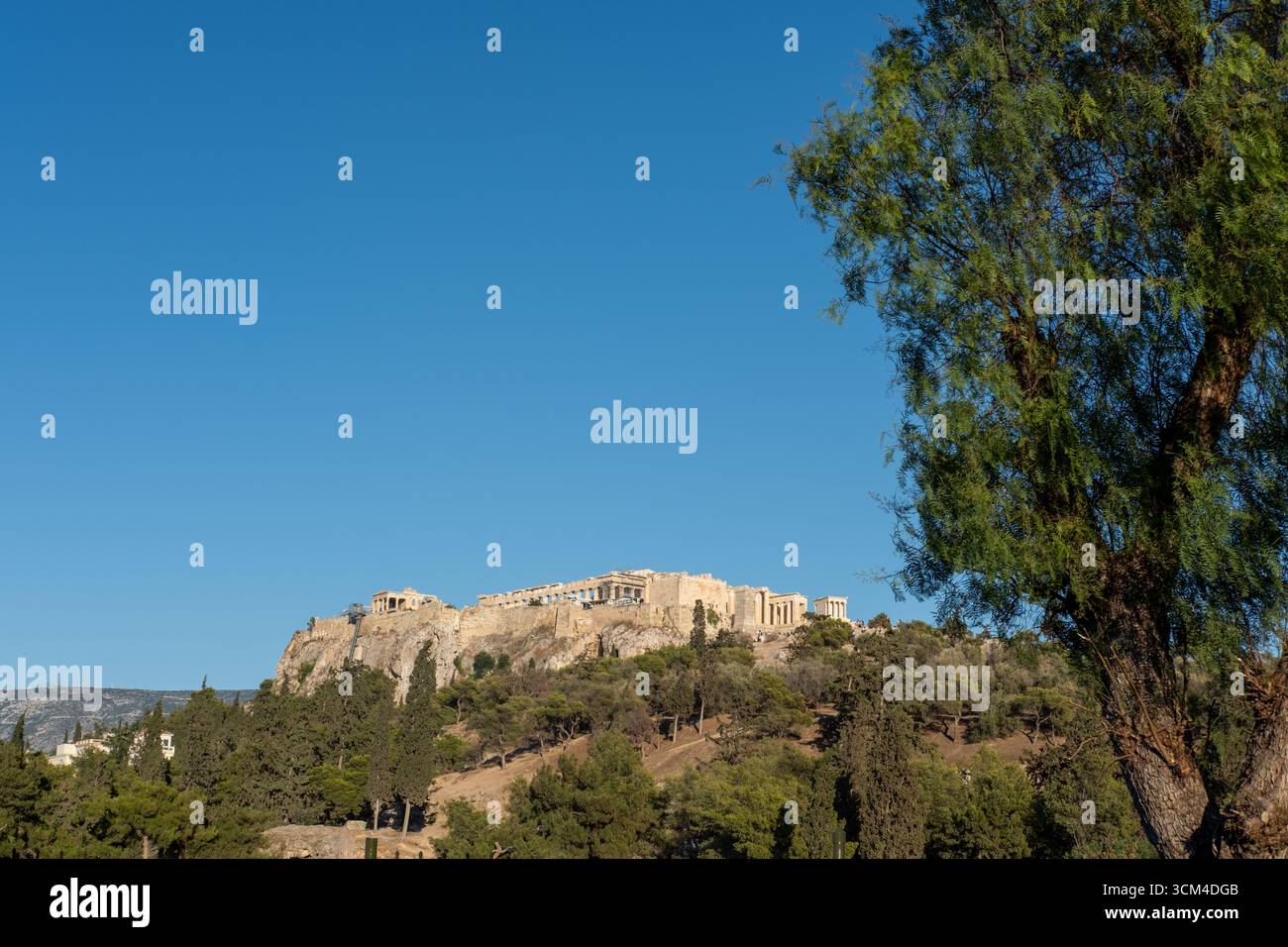 Vista dell'Acropoli in estate, Atene, Grecia, Europa Foto Stock