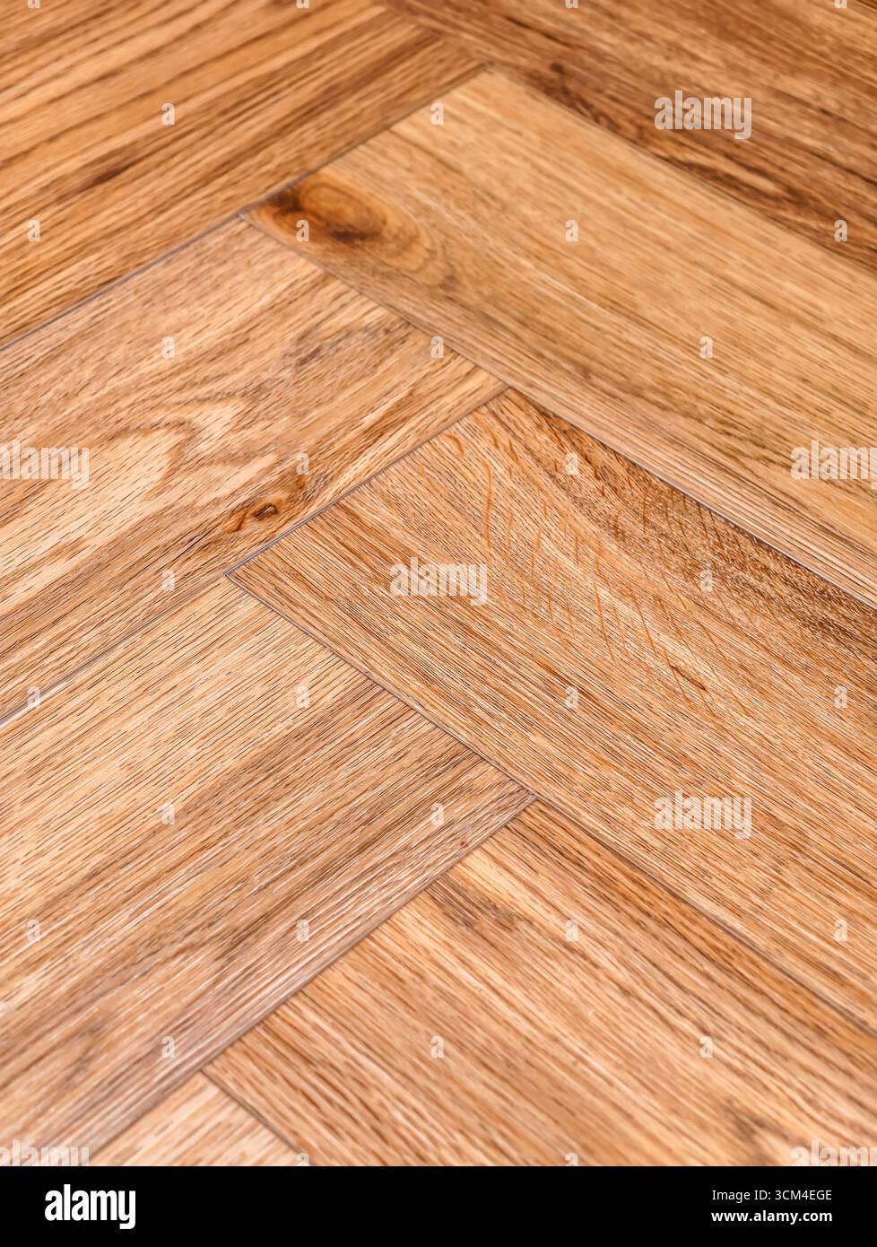 Struttura per pavimenti in legno - elegante motivo a spina di pesce per progetti di interior design moderno, materiale promozionale e marketing creativo Foto Stock