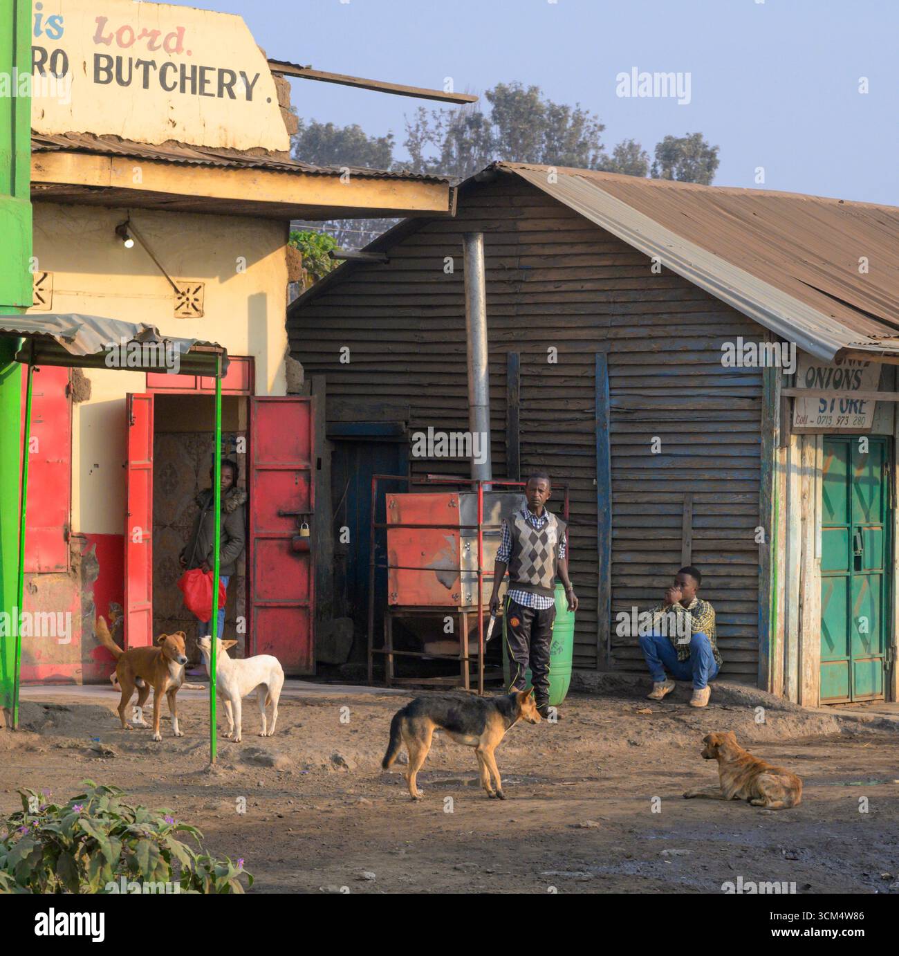 Raduno di cani randagi vicino a una macelleria, Loitokitok District, Kenya. Foto Stock