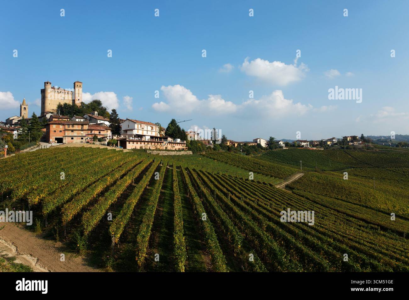 Serralunga d'Alba, Langhe, Piemonte, Italia Foto Stock