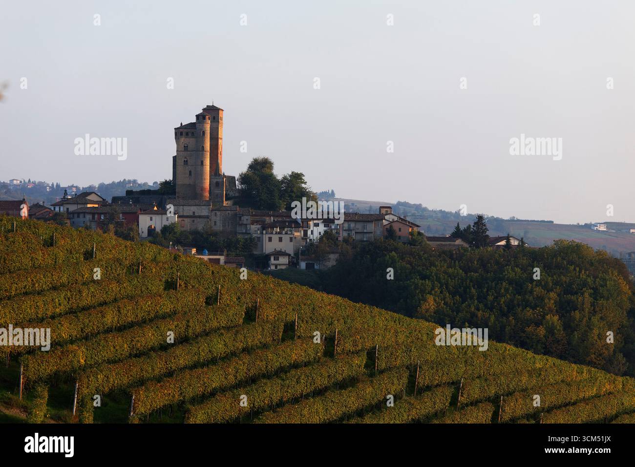 Serralunga d'Alba, Langhe, Piemonte, Italia Foto Stock