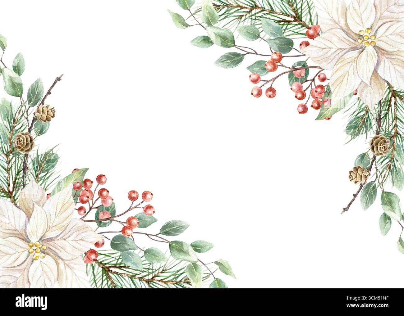 Cornice natalizia con rami di abete, fiori di punta bianchi, frutti di bosco rossi e rametto verde di eucalipto. Illustrazione dell'avvento delle festività con acquerello disegnata a mano Foto Stock