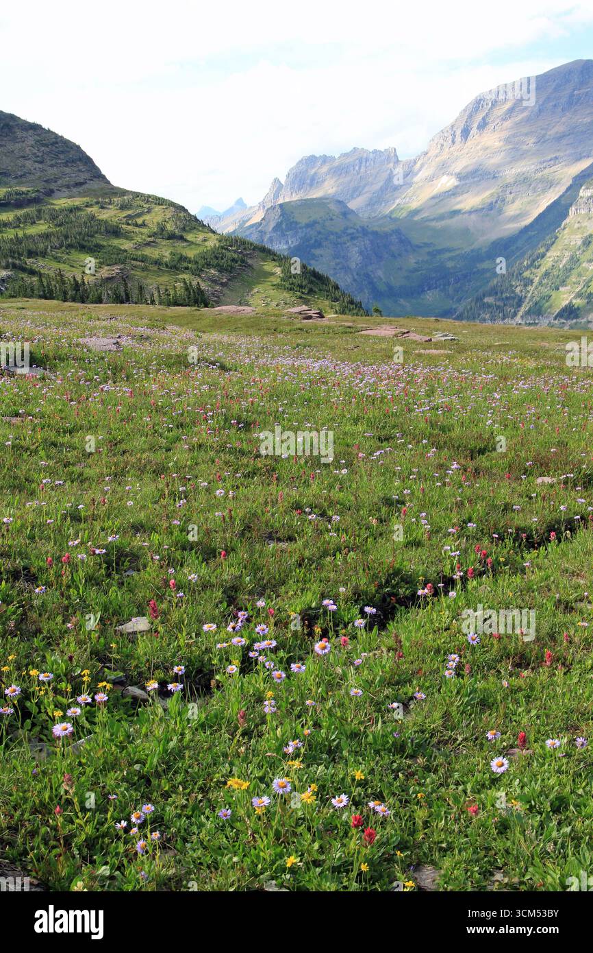 Il Parco Nazionale di Glacier Montana USA Foto Stock