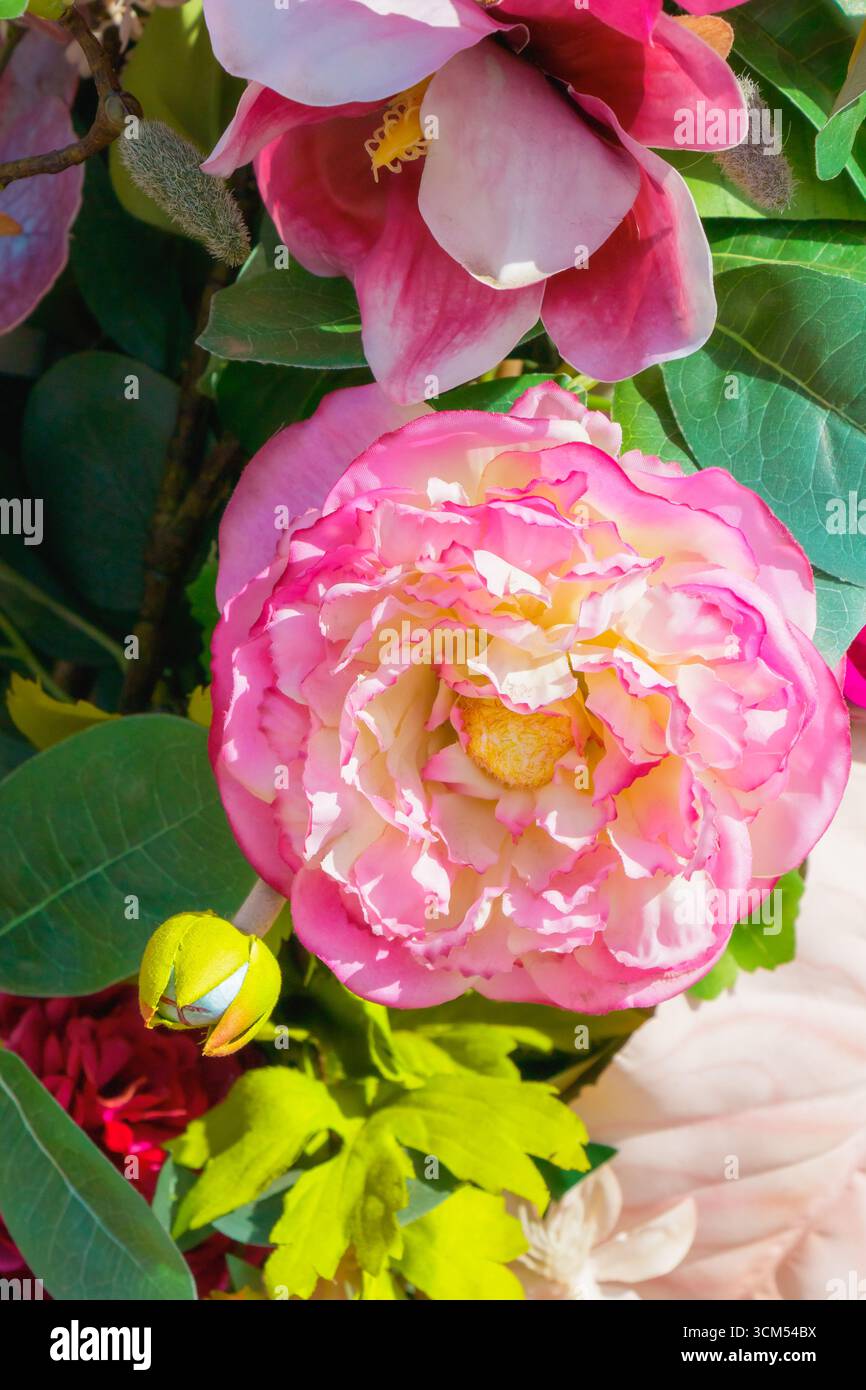 Una collezione di fiori colorati riempie la scena di ricche texture e sfumature, tra cui morbidi rosa e bianchi. I fiori aggiungono eleganza, tutti visualizzati Foto Stock