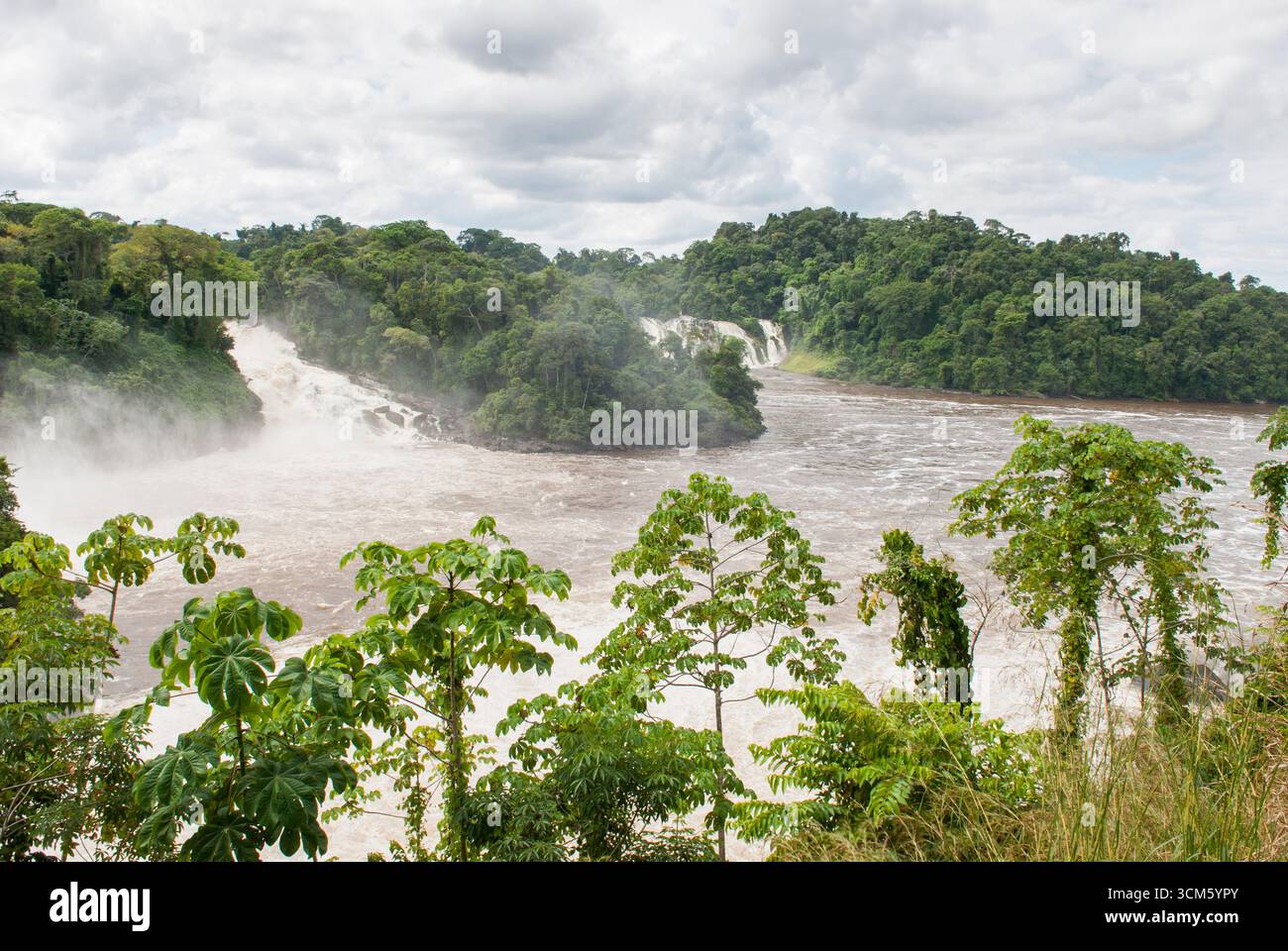 Para cade sul fiume Caura, Stato di Bolivar, Repubblica bolivariana del Venezuela, Sud America Foto Stock