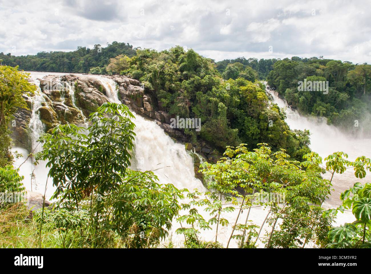 Para cade sul fiume Caura, Stato di Bolivar, Repubblica bolivariana del Venezuela, Sud America Foto Stock
