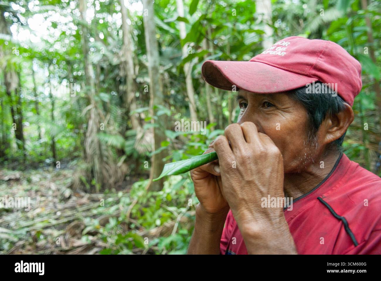 Uomo che ha fatto un siflet con foglie nella foresta pluviale sulla riva del fiume Orinoco, Repubblica bolivariana del Venezuela, Sud America Foto Stock