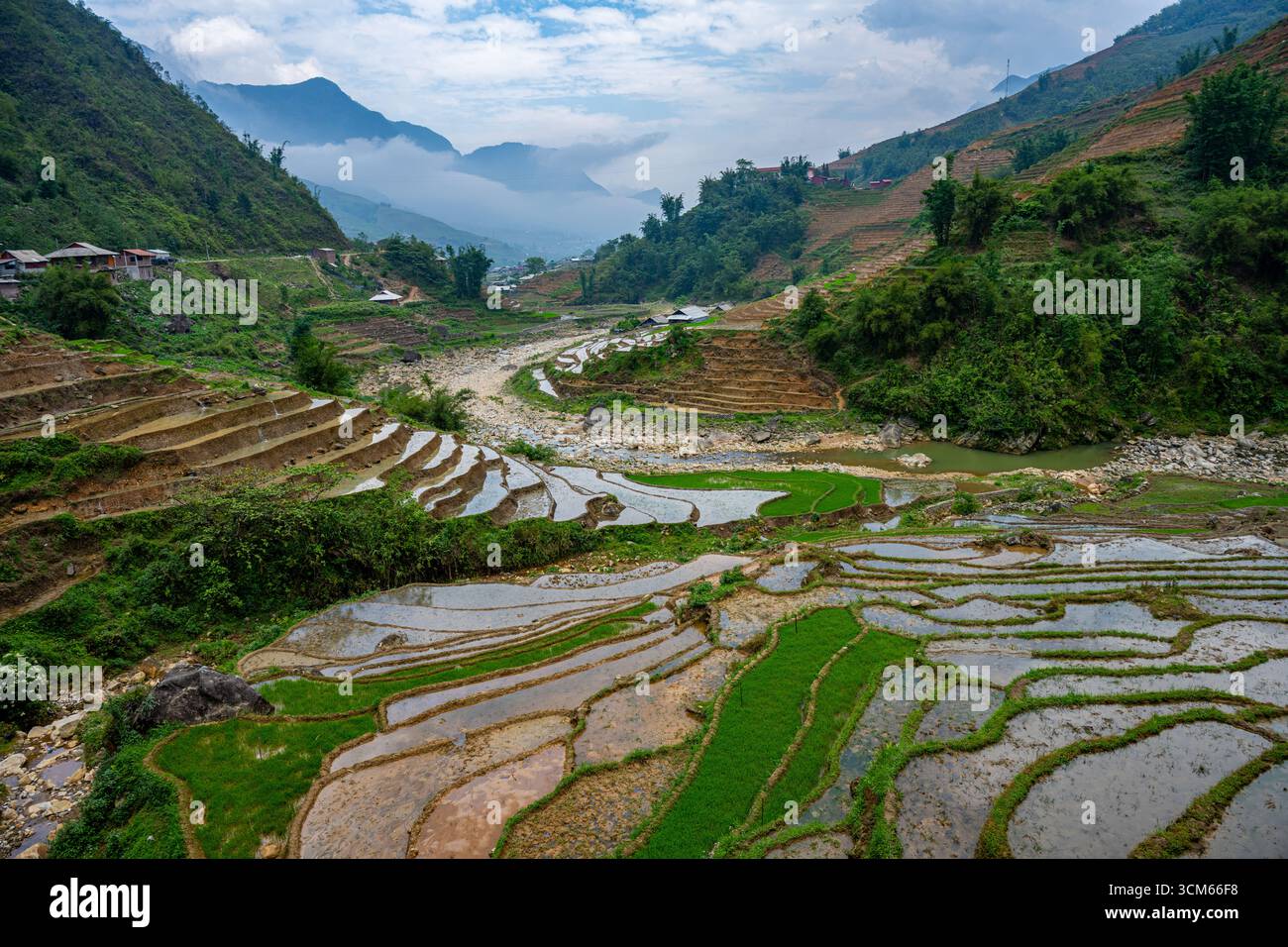 I campi di riso terrazzati allagati seguono la curva di una valle fluviale a Sapa, provincia di Lao Cai, Vietnam. Foto Stock