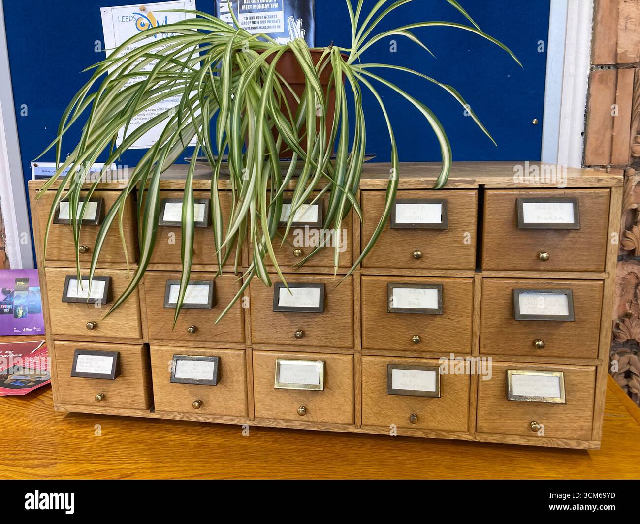 Armadietto per cataloghi di carte nella Leeds Central Library Foto Stock