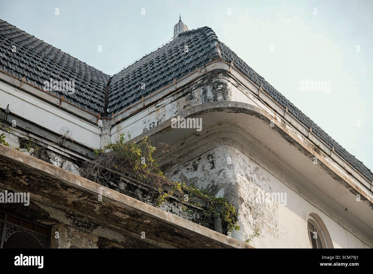 Una vista ravvicinata del tetto di un vecchio edificio con intricati dettagli architettonici che mostrano superfici intemprate e vegetazione sovrastata Foto Stock
