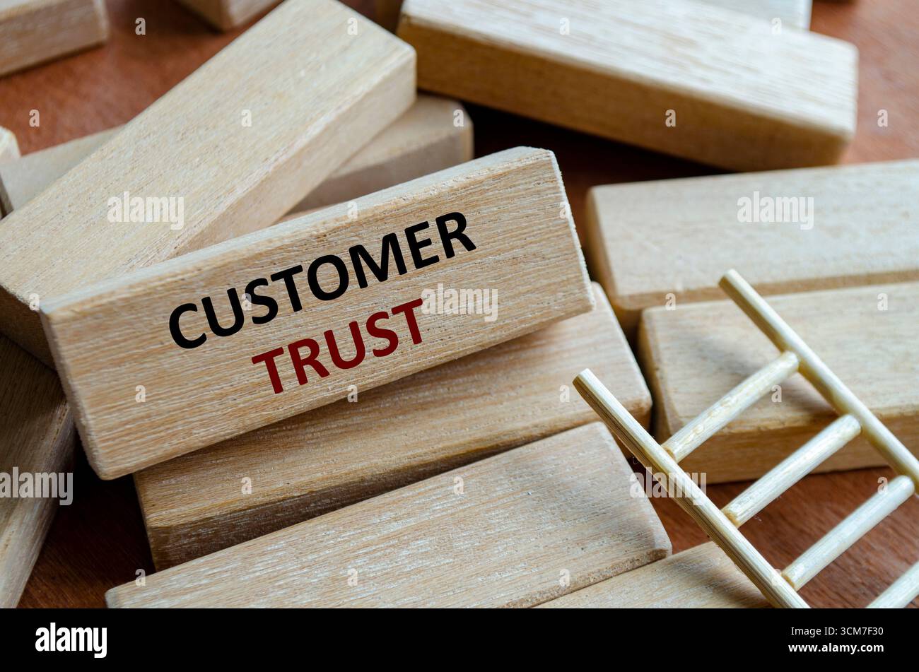 Un blocco di legno che mostra L'ATTENZIONE DEL CLIENTE sulle fasi che evidenziano il servizio, la qualità, l'affidabilità e la fiducia dell'organizzazione Foto Stock