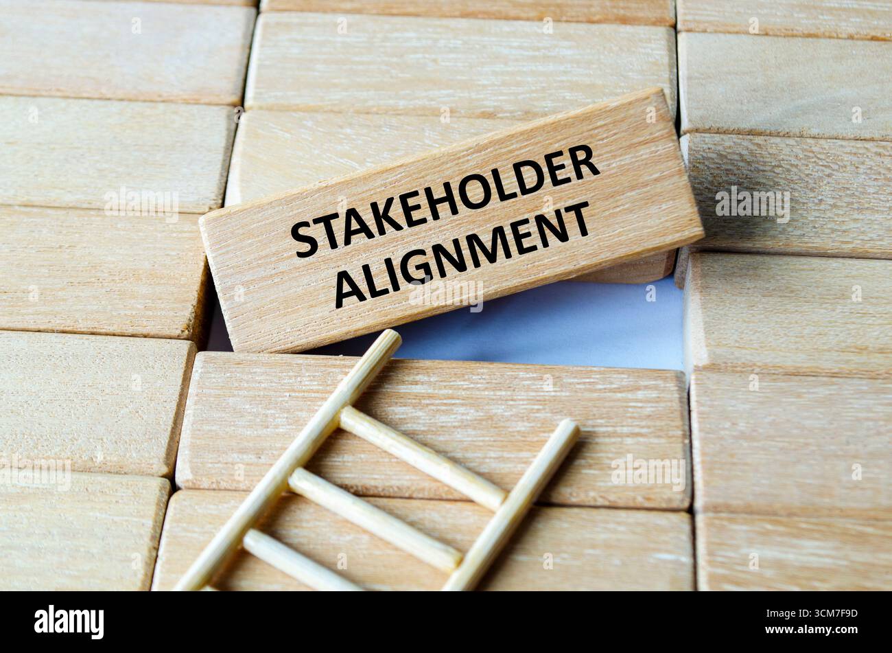 Testo di allineamento degli azionisti su blocchi di legno che rappresentano il concetto aziendale e le aspettative degli stakeholder Foto Stock