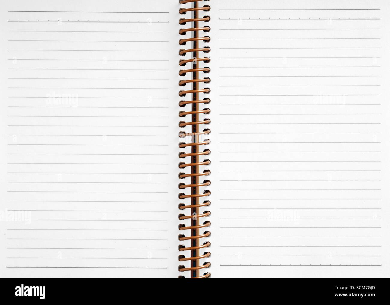 Notebook a spirale aperta con pagine foderate vuote, appunti, idee e storie invitanti, che incarnano un potenziale infinito per la creatività e l'organizzazione Foto Stock