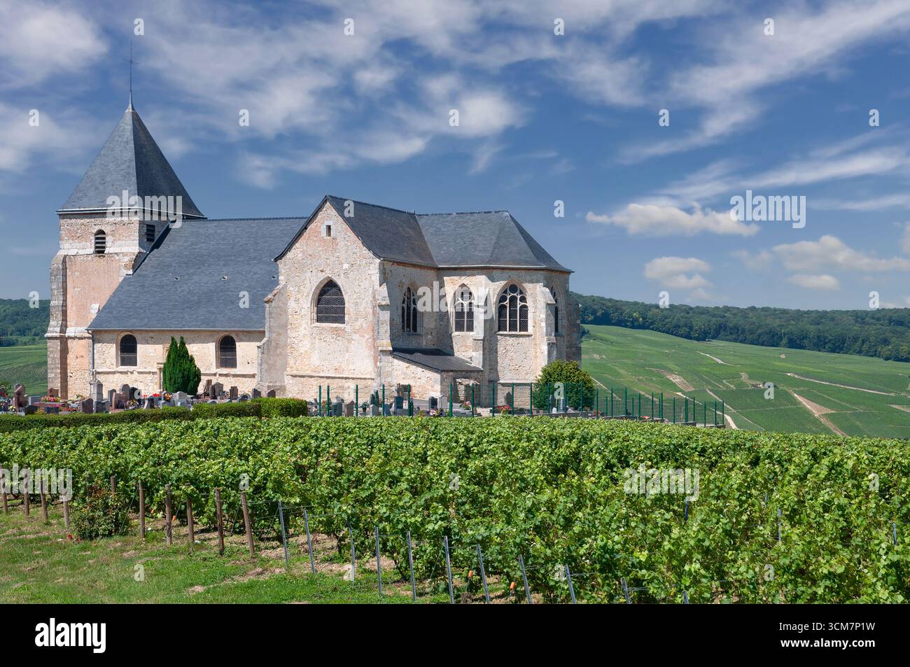 Chiesa di Saint-Martin de Chavot nella regione Champagne vicino a Epernay, Grand Est, Francia Foto Stock